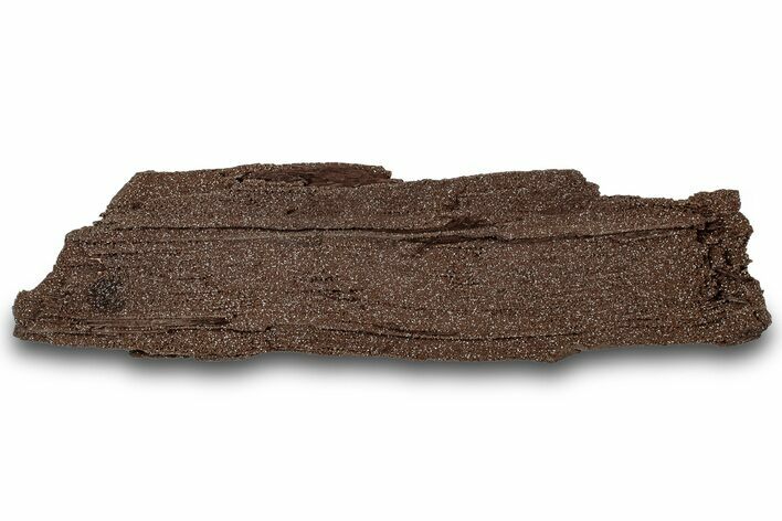 Permineralized Wood Covered In Sparkling Quartz - Germany #307006